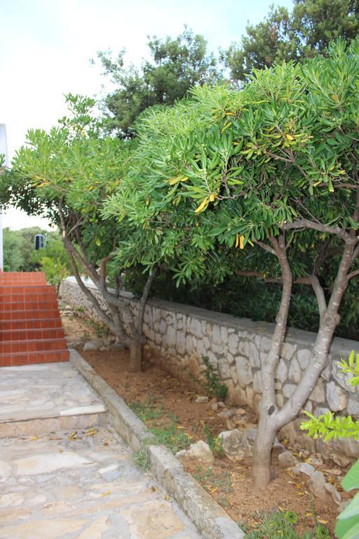 Apartments Baka Jelka Mandre Dış mekan fotoğraf