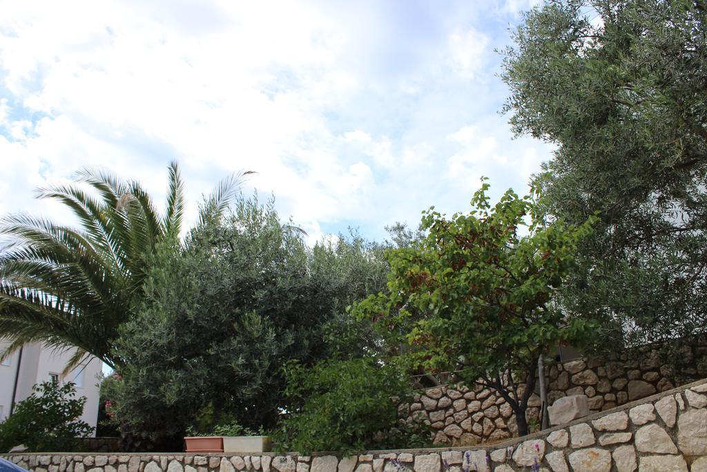 Apartments Baka Jelka Mandre Dış mekan fotoğraf